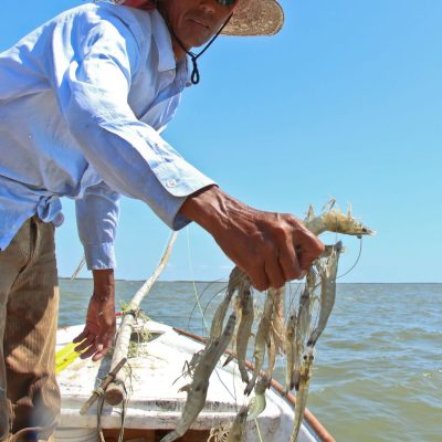 pescador1 pescador1